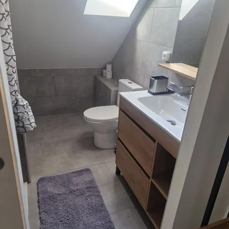 Apartment Beausejour - Hyper Centre Mulhouse